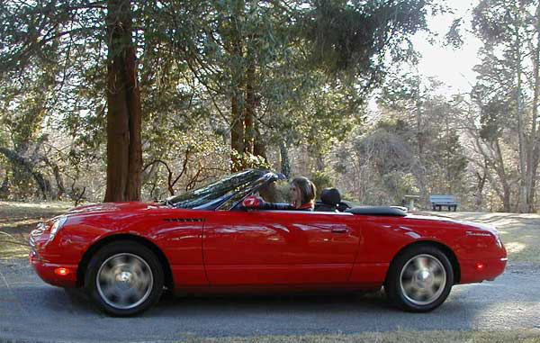 2002 Ford thunderbird road test #8